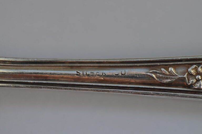 Silber 100