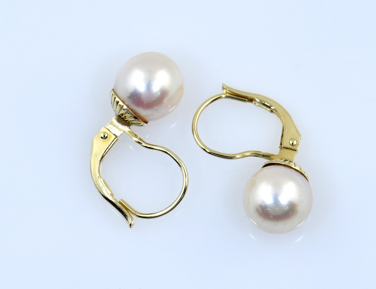 Ohrstecker Akoya-Perle 585/000 14 K Gelbgold