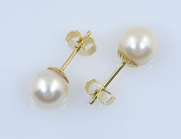 Ohrringe Akoyaperle 585/000 14 K Gelbgold Ohrstecker