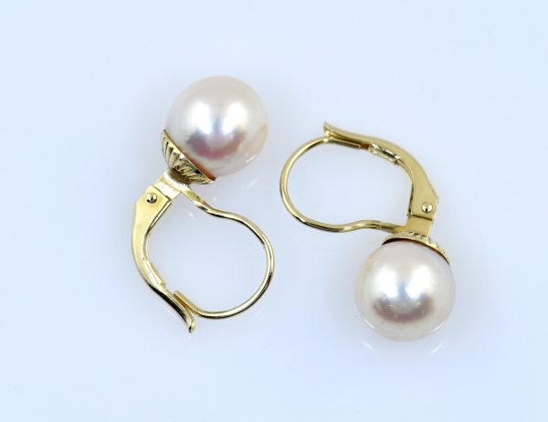 Ohrstecker Akoya-Perle 585/000 14 K Gelbgold