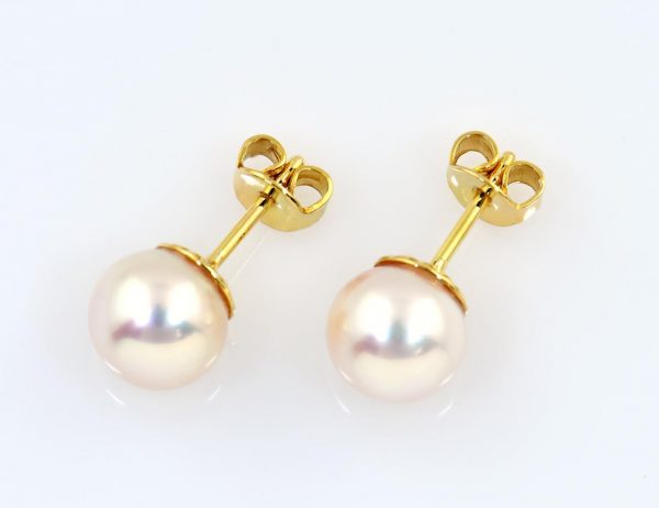 Ohrringe Akoyaperle 750/000 18 K Gelbgold Ohrstecker