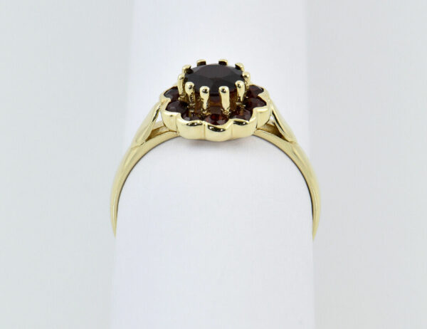Ring Granat 333/000 8 K Gelbgold